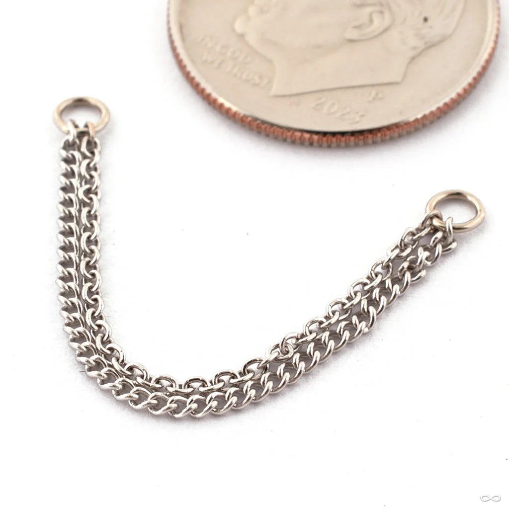Close Knit Chain in Gold from Hialeah